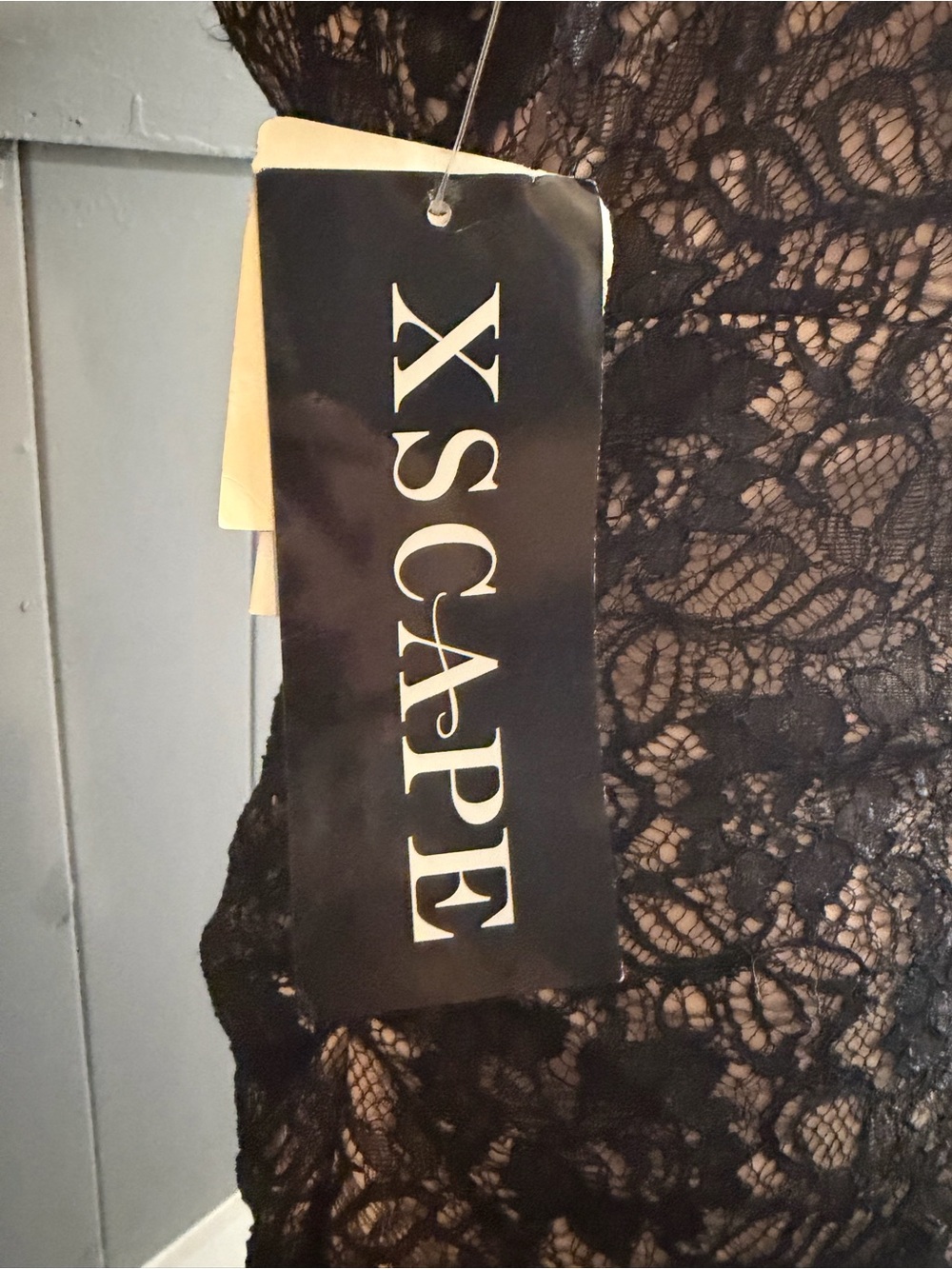 Xscape Black Lace Overlay Evening Dress - Picture 4 of 7